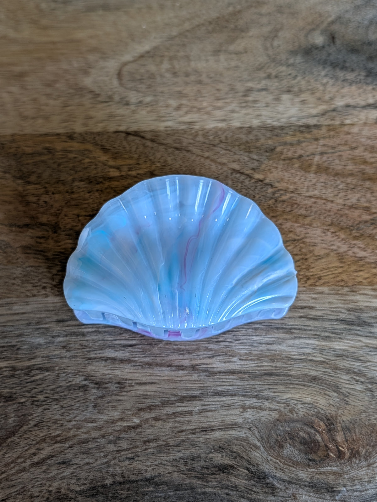 Pince coquillage