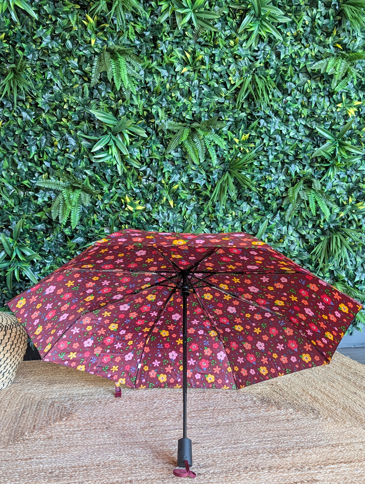 Parapluie