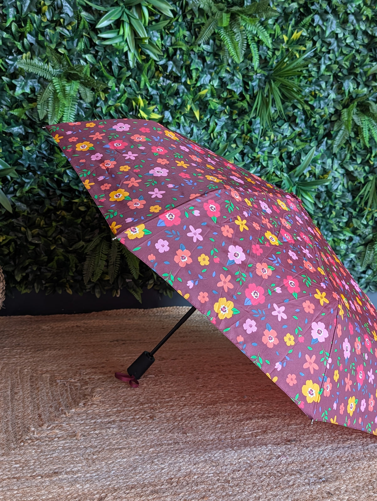 Parapluie